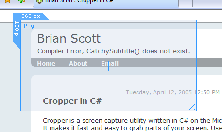 .net cropper screenshot screen capture