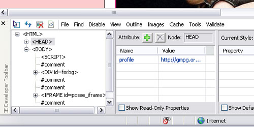 internet explorer web developer tool