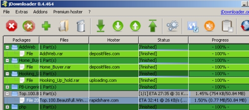 jdownloader-rapidshare-download-manager-user-interface