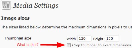 wordpress media image size thumbnail crop settings