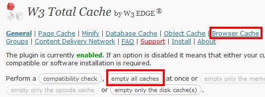 w3 total cache empty browser cache